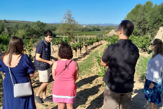 Cava tour to 3 family wineries with hotel pick-up - The Guide’s Role and Personalities
