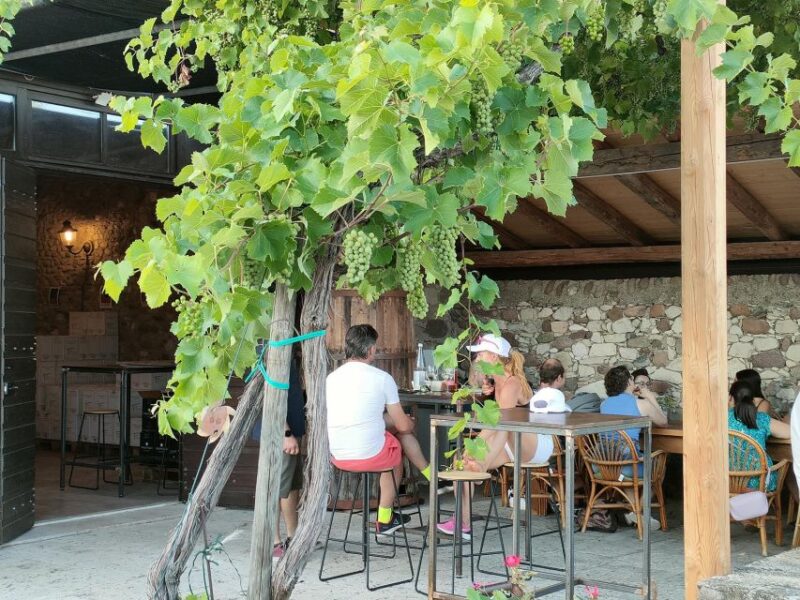 Cavaion: Lake Garda Wine & Food Tasting with Vineyard Tour - Key Points