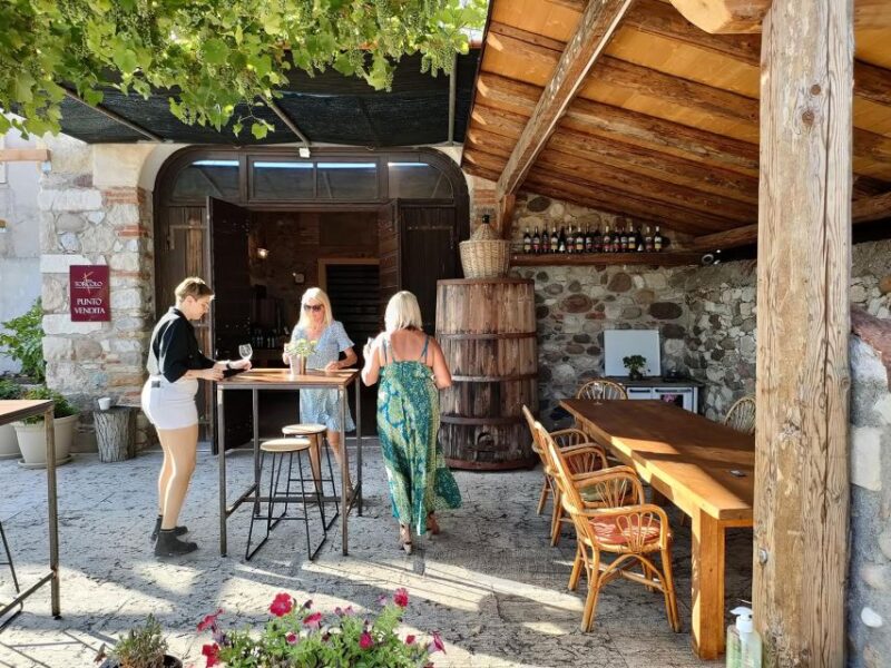 Cavaion: Lake Garda Wine & Food Tasting with Vineyard Tour - Accessibility and Practical Details