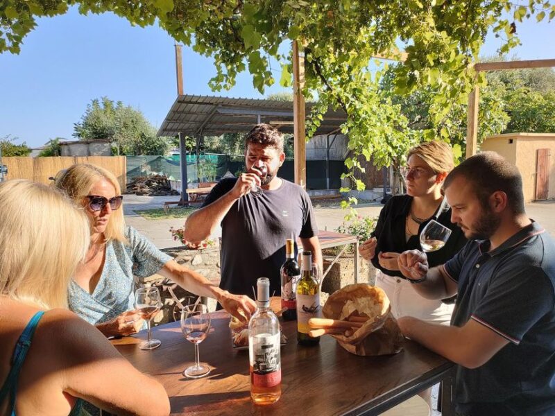 Cavaion: Lake Garda Wine & Food Tasting with Vineyard Tour - Best Suited For Wine Lovers and Curious Travelers