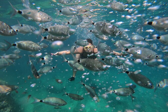Cave exploring by kayak - Snorkeling and Cliff Jumping Opportunities