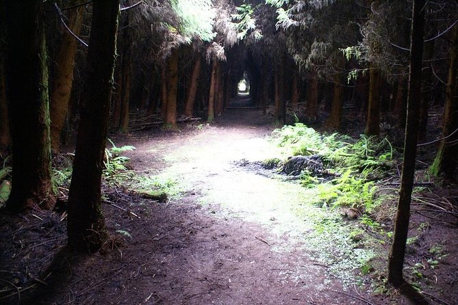 Cave Tour in Terceira - Convenient Pickup and Small Group Experience