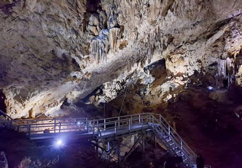 Cave Valley, Rânov Fortress, Bran Castle & Bear Sanctuary - Observe Over 100 Rescued Bears at Libearty Sanctuary