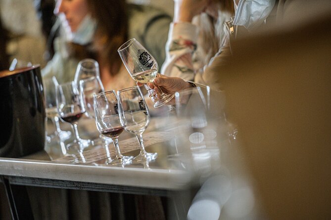 Caves Ambacia, Tour and Wine Tasting in Amboise, Loire Valley - The Sensory Journey and Wine Collection