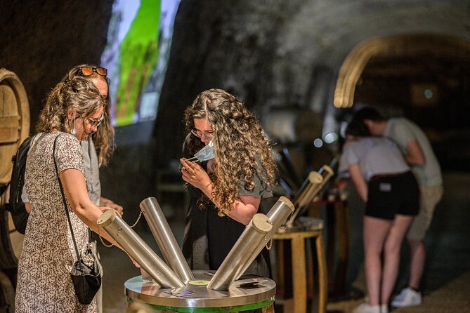 Caves Ambacia, Tour and Wine Tasting in Amboise, Loire Valley - Limitations and Considerations