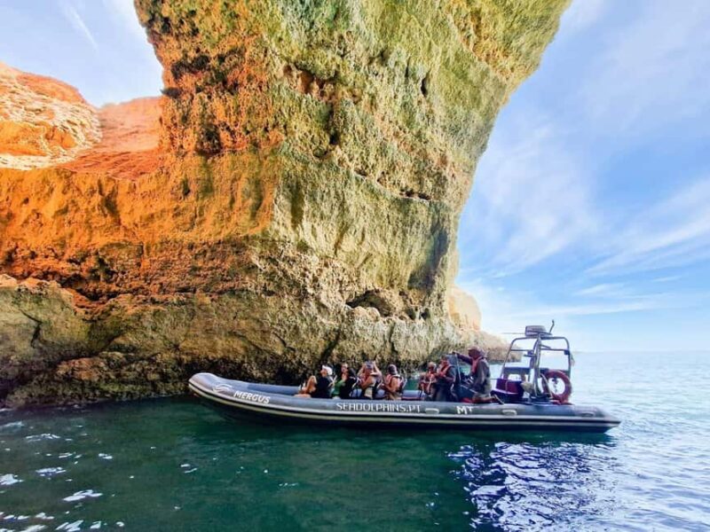 Caves & Dolphins - Combined Trip - Key Points