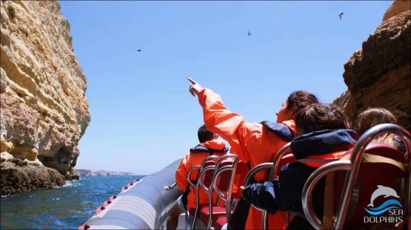 Caves & Dolphins - Combined Trip - Why Choose This Tour in Algarve