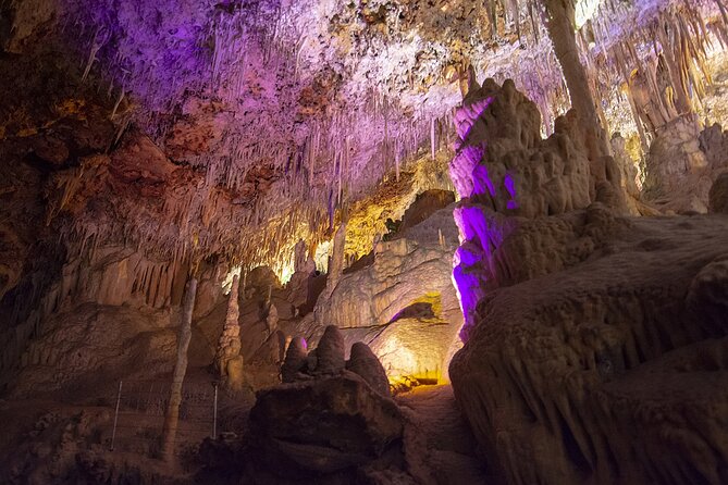 Caves Drach Boat Trip from Alcudia with Return Bus and Tickets - Key Points