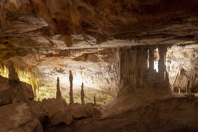 Caves Drach Boat Trip from Alcudia with Return Bus and Tickets - Return Journey and Free Time at the Resort