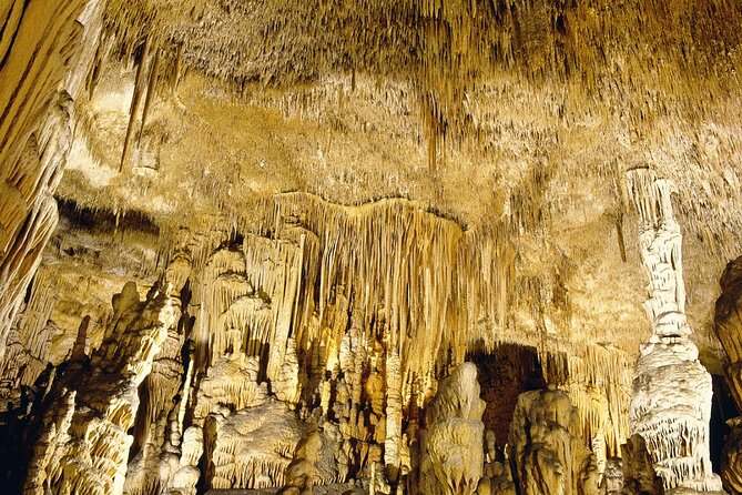 Caves Drach Tour & Return Transfer from Cala Dor-Calas Mallorca - Free Leisure Time and Sightseeing Opportunities