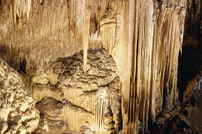 Caves Drach Tour & Return Transfer from Cala Dor-Calas Mallorca - Practical Details and Booking Insights