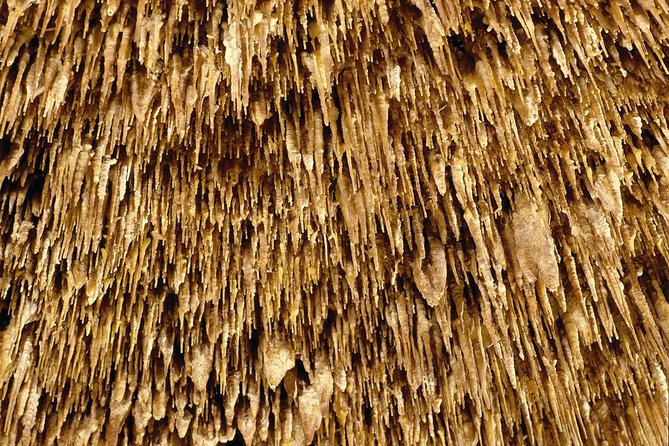 Caves of Drach Half-Day Tour with Boat Trip and Music Concert - Shopping for Mallorcan Pearls