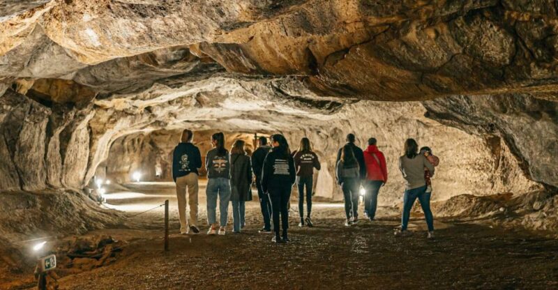 Caves prehistory of Esplugues Francolí with hotel pickup - Explore Catalonia’s Ancient Caves with Hotel Pickup