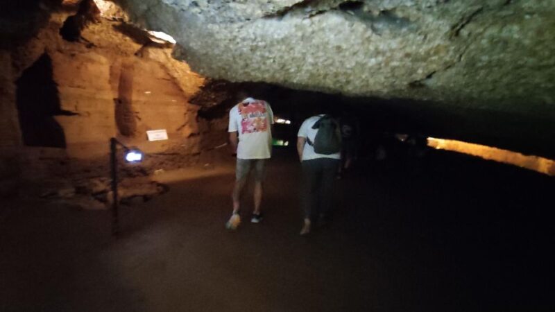 Caves prehistory of Esplugues Francolí with hotel pickup - Logistics: Easy Access and Flexible Booking