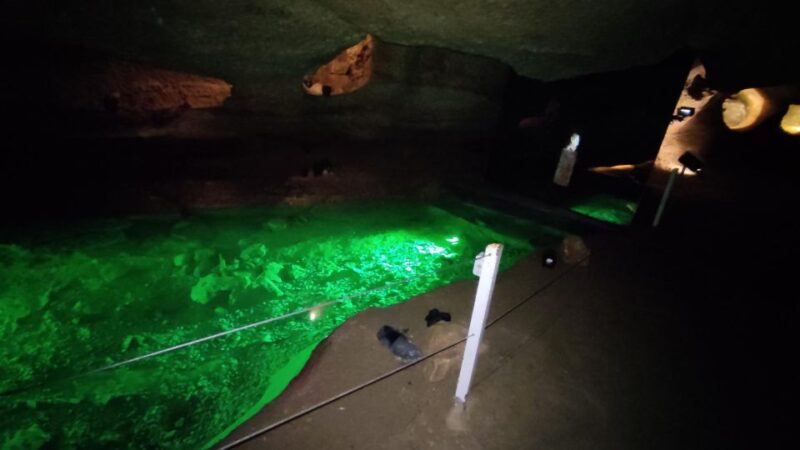 Caves prehistory of Esplugues Francolí with hotel pickup - Final Thoughts on Visiting the Esplugues Francolí Caves