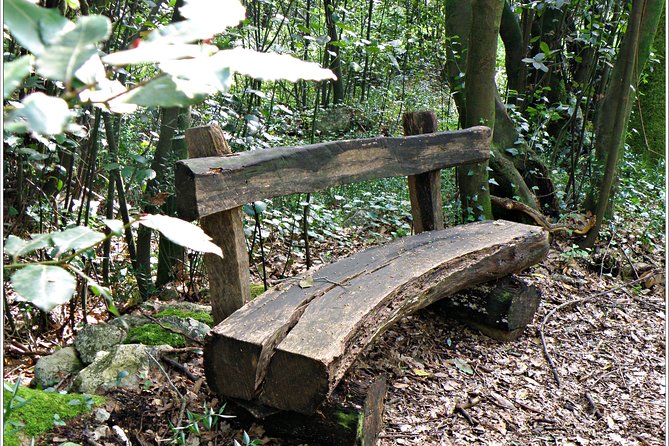 Cavtat & Konavle District Half Day Private Tour - Key Points