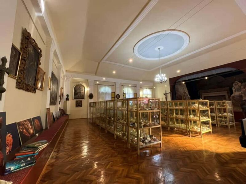 Cavtat: Shell Museum Private Guided Tour - Explore Cavtat’s Shell Museum with a Personalized Guided Tour