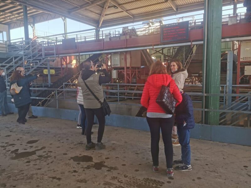 Cazorla: Oleotour - Olive Oil Culture Initiation - Explore the Olive Oil Culture in Cazorla for $23