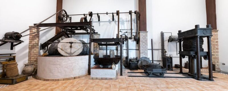 Cazorla: Oleotour - Olive Oil Culture Initiation - Visiting the Regulatory Council of Sierra de Cazorla