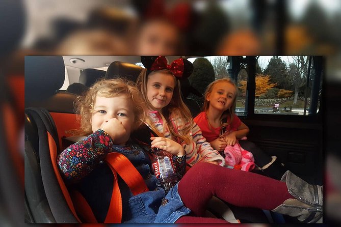 CDG - Euro Disney One Way Private Shuttle Transfer - Smooth and Reliable Transfer from CDG to Disneyland Paris