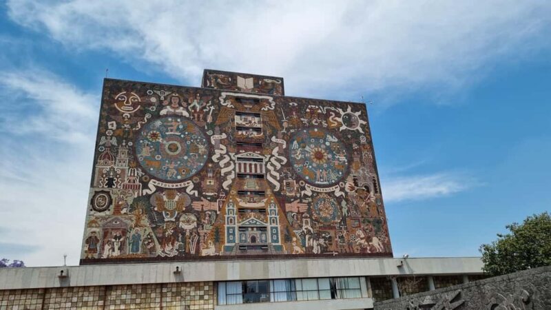 CDMX: Coyoacán, UNAM, Xochimilco, and optional Frida Kahlo Museum - Supporting Local Artisans at a Mexican Cooperative Shop