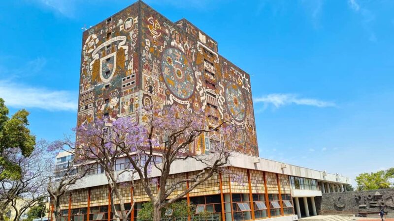 CDMX: Coyoacán, UNAM, Xochimilco, and optional Frida Kahlo Museum - Overall Value and Who Will Appreciate This Tour