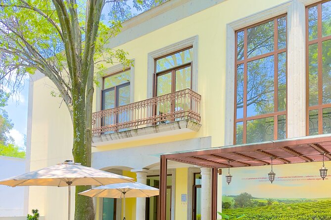 CDMX from Heaven Diego Rivera and Cantina Presidential Mansion - Visiting Cárcamo de Dolores and Diego Rivera’s Underwater Mural