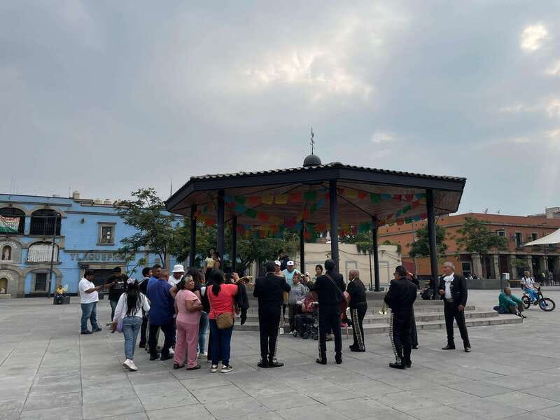 CDMX: Garibaldi Copa Show - Limitations and Considerations