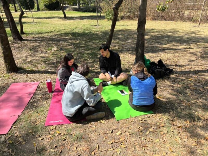 CDMX: Nature Therapy Guided Session - Key Points