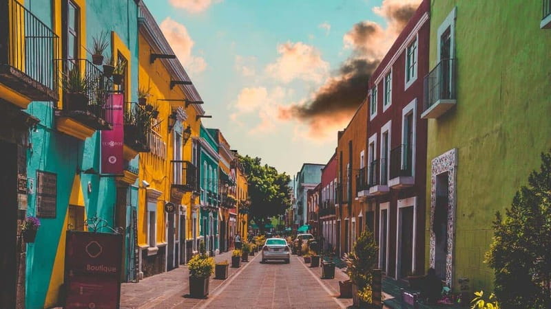 CDMX: Neighborhoods Contrasts Private Tour - Key Points