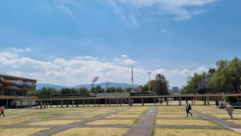 CDMX: Private tour of Xochimilco, Coyoacán, and the Frida Museum - Practicalities and Value of the Private Experience