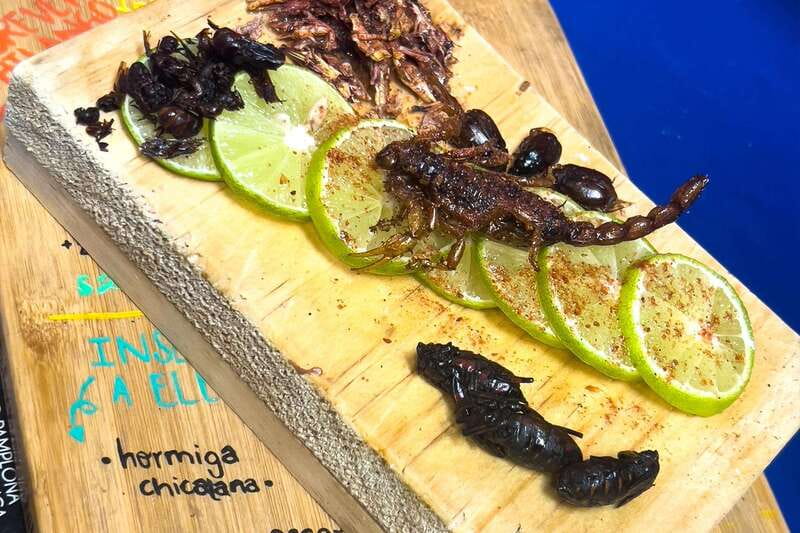 CDMX Street Food: Tour of Local Markets. - Frequently Asked Questions