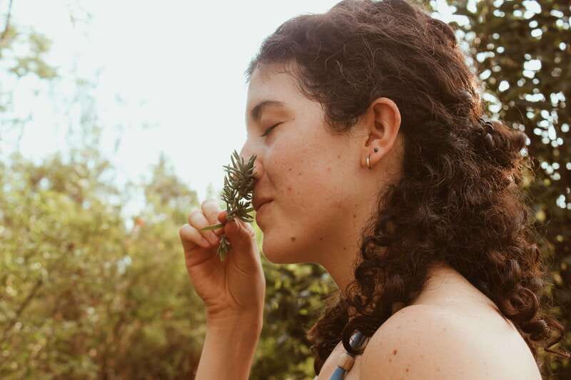 CDMX: TEMAZCAL Healing & cleansing ceremony ritual zapoteco - Meeting Point and Transportation Details