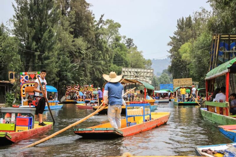 CDMX: Xochimilco, Coyoacan with Frida Kahlo & Optional Lunch - The Significance of the Frida Kahlo Museums