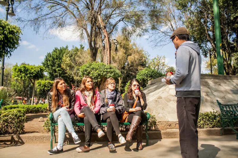 CDMX: Xochimilco, Coyoacan with Frida Kahlo & Optional Lunch - Practicalities: Pickups, Transportation, and Group Sizes