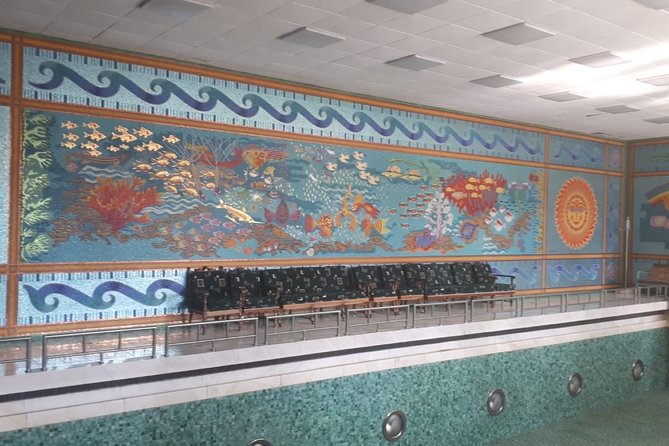 Ceausescu Villa - fast track tickets and guide - The Limitations and Considerations