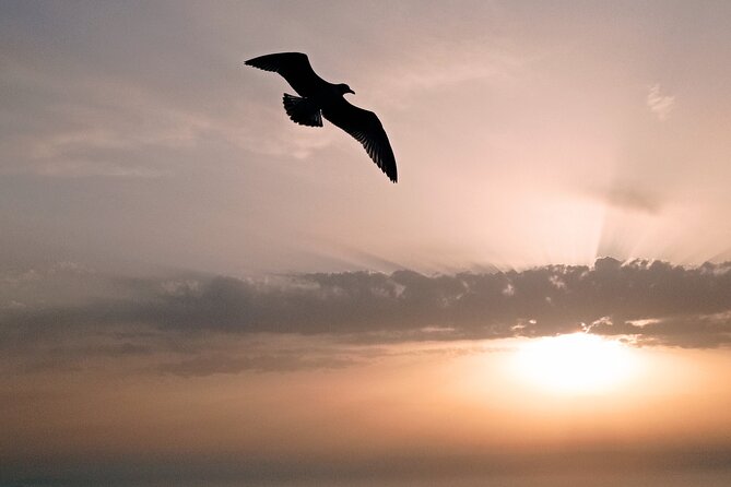 Cefalú Boat Tour with aperitif at sunset - Aperitif and Water Toys: Enhancing the Seaside Experience