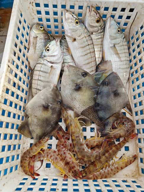 Cefalù: boat trip with fishing, coastal tour, and lunch on board with the catch - Who Will Enjoy This Cefalù Boat Trip?