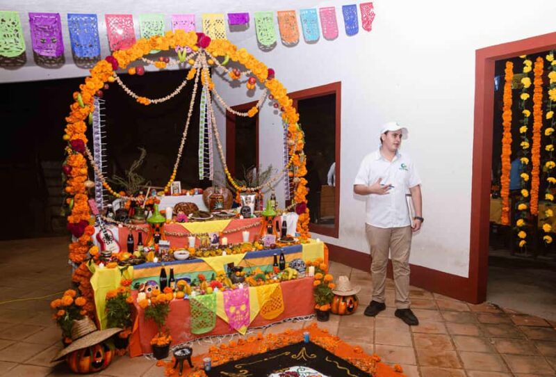 Celebrate Day of the Dead | All Inclusive - Oaxaca’s Day of the Dead: A 4-Hour Cultural Snapshot