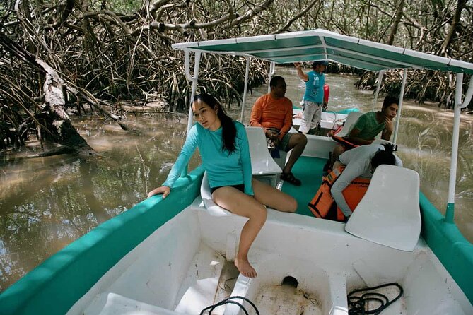 Celestun Beach and Mangrove Boat Ride from Merida - Exploring Celestún’s Mangrove Reserve on a Guided Boat Ride
