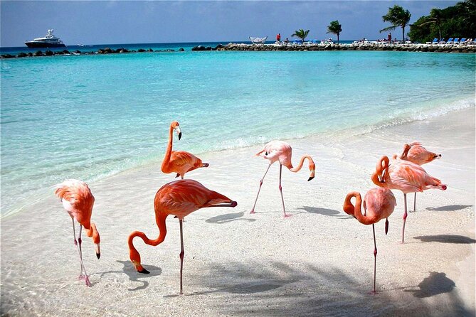 Celestun Beach and Mangrove Boat Ride from Merida - The Value of Combining Wildlife, Culture, and Relaxation