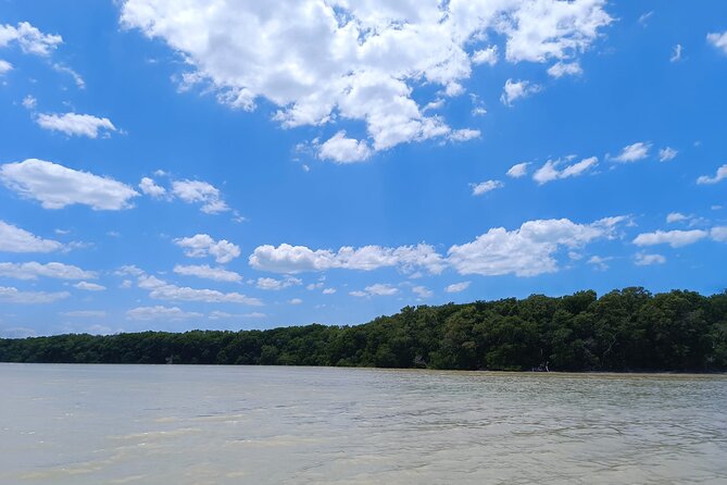 Celestun Beach and Mangrove Boat Ride from Merida - Frequently Asked Questions