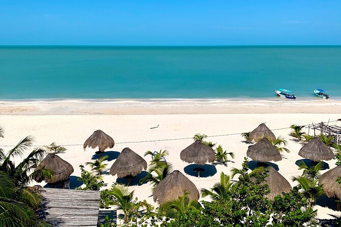 Celestun Beach and Mangrove Boat Ride from Merida - Practical Details and Logistics