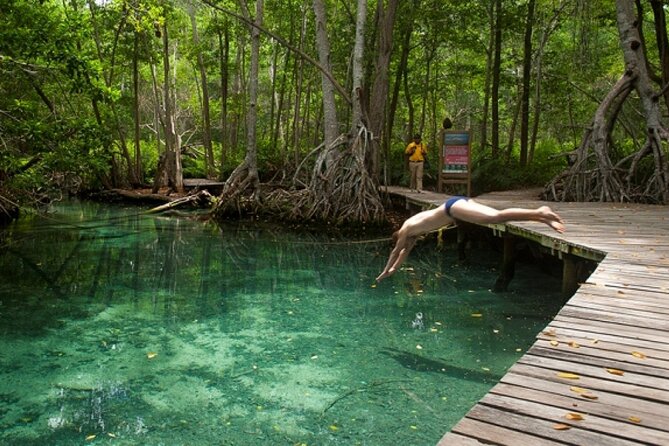 Celestun Beach and Mangrove Boat Ride from Merida - Wildlife Watching and Birding Expertise