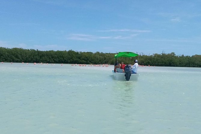 Celestun Biosphere Reserve Tour from Merida - Wildlife sightings and seasonal considerations