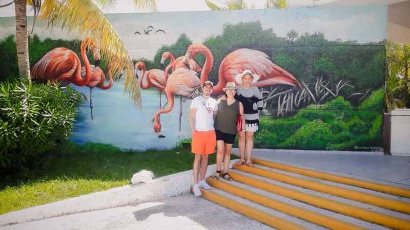 Celestún Flamingos, Beach, and Seafood Lunch Tour from Merida - Key Points