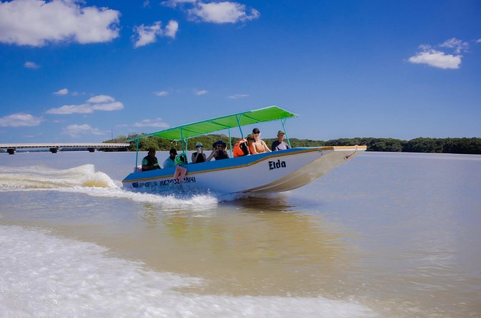 Celestun Flamingos Beach & Seafood Tour departure from Merida - Highlights of the Wildlife and Bird Watching Experience
