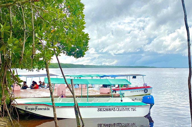 Celestun Flamingos Beach & Seafood Tour departure from Merida - Practical Logistics and Tour Flexibility