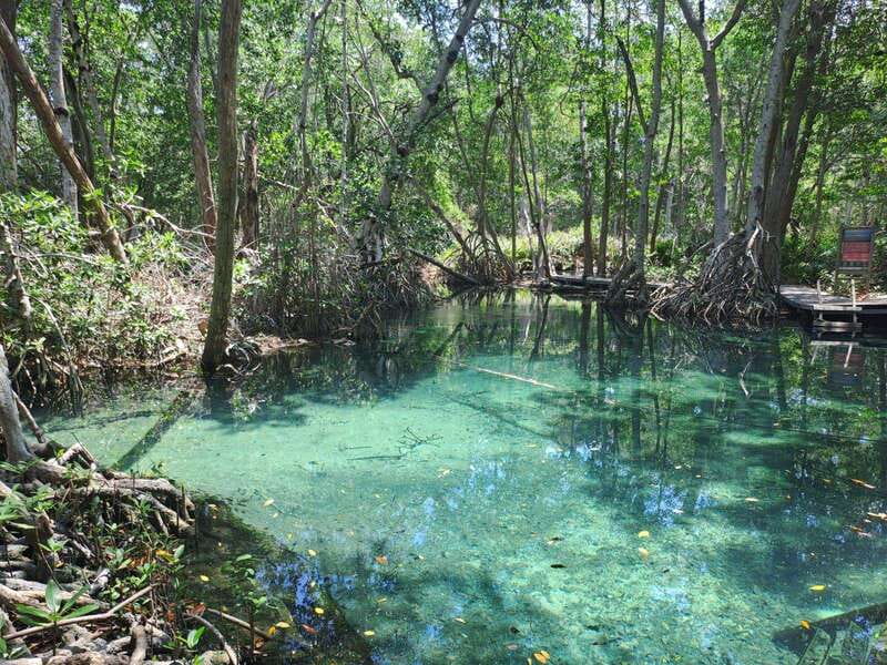 Celestun + Lunch, Boat Ride & beach time. - Explore the Stunning Celestun Biosphere Reserve with Flexibility and Wildlife Highlights