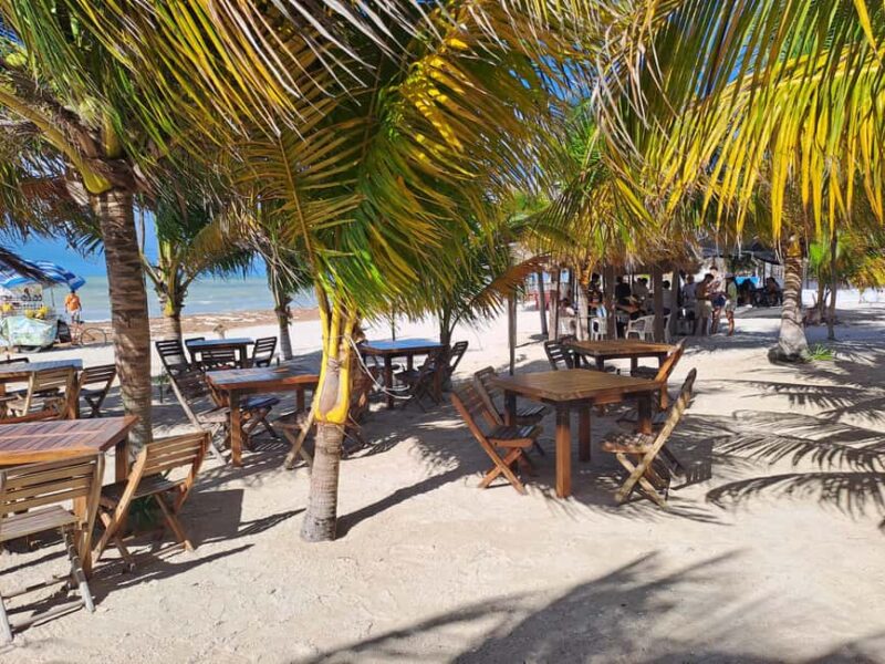 Celestun + Lunch, Boat Ride & beach time. - Optional Yucatecan Cuisine at a Local Restaurant